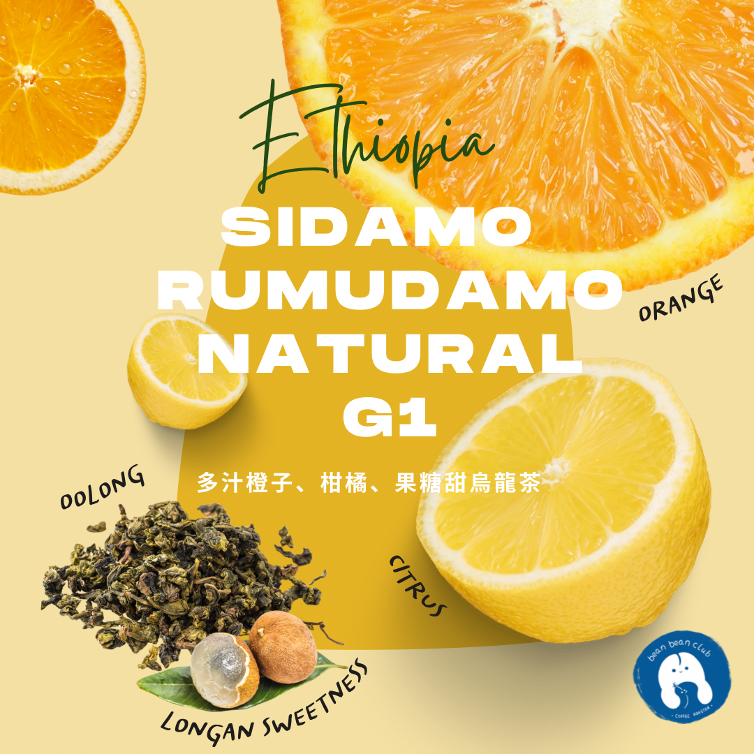 T16 - 埃塞俄比亞 西達摩 如姆達摩 日曬 G1